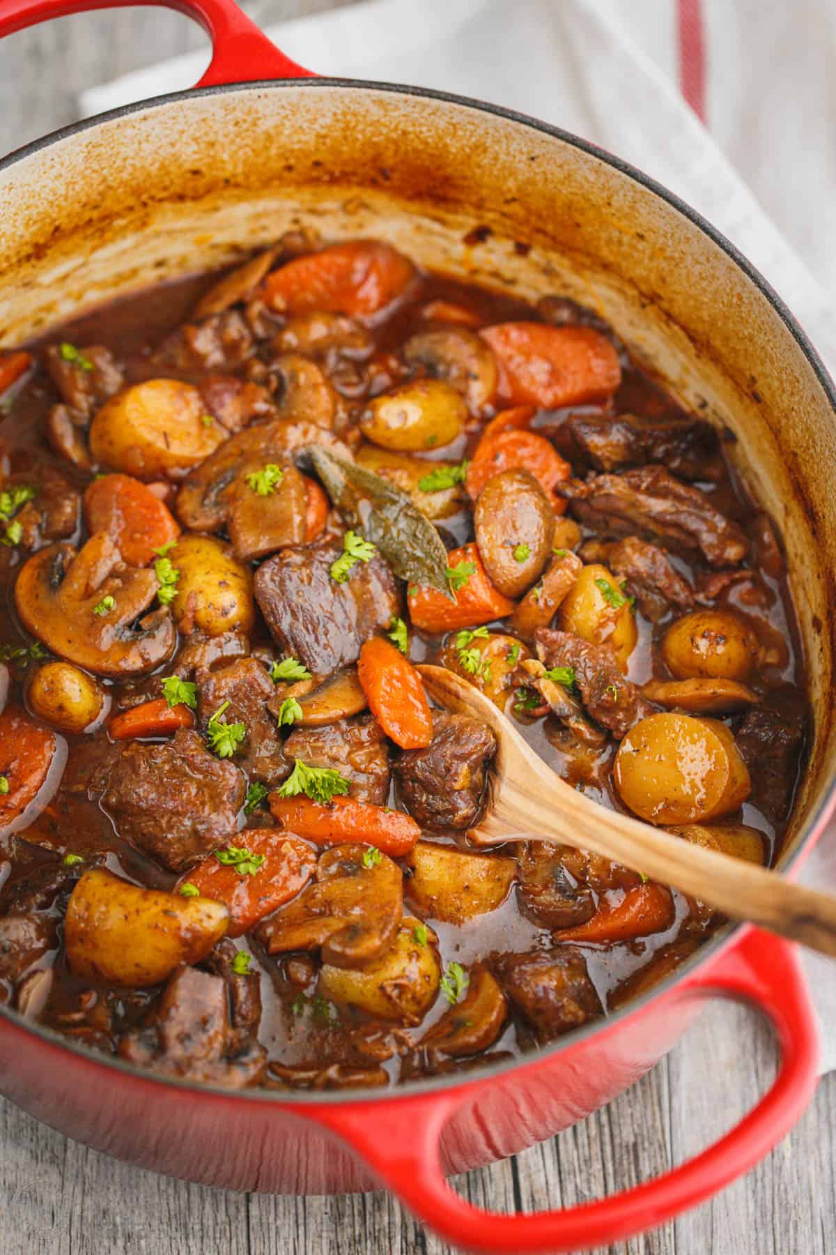 Beef Stew in a red pot