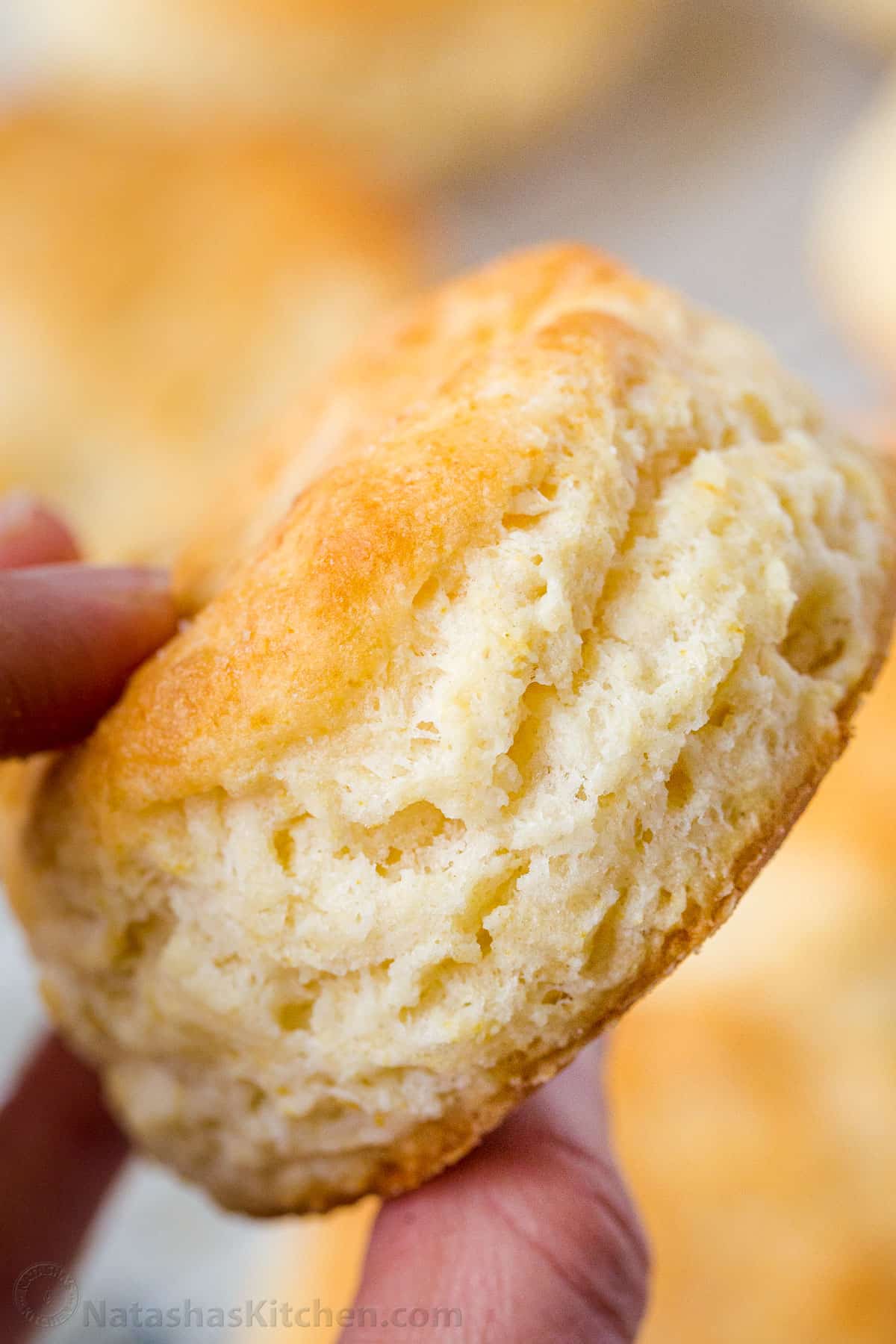 This is the only Biscuit Recipe you will need. Homemade Biscuits are super soft and these are quick and easy to make with just 6 ingredients. Up close fluffy homemade biscuit with soft layers