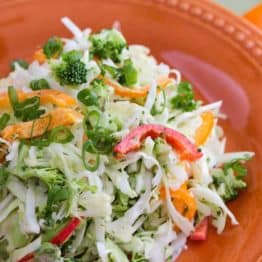 An orange plate with cabbage and bell pepper salad