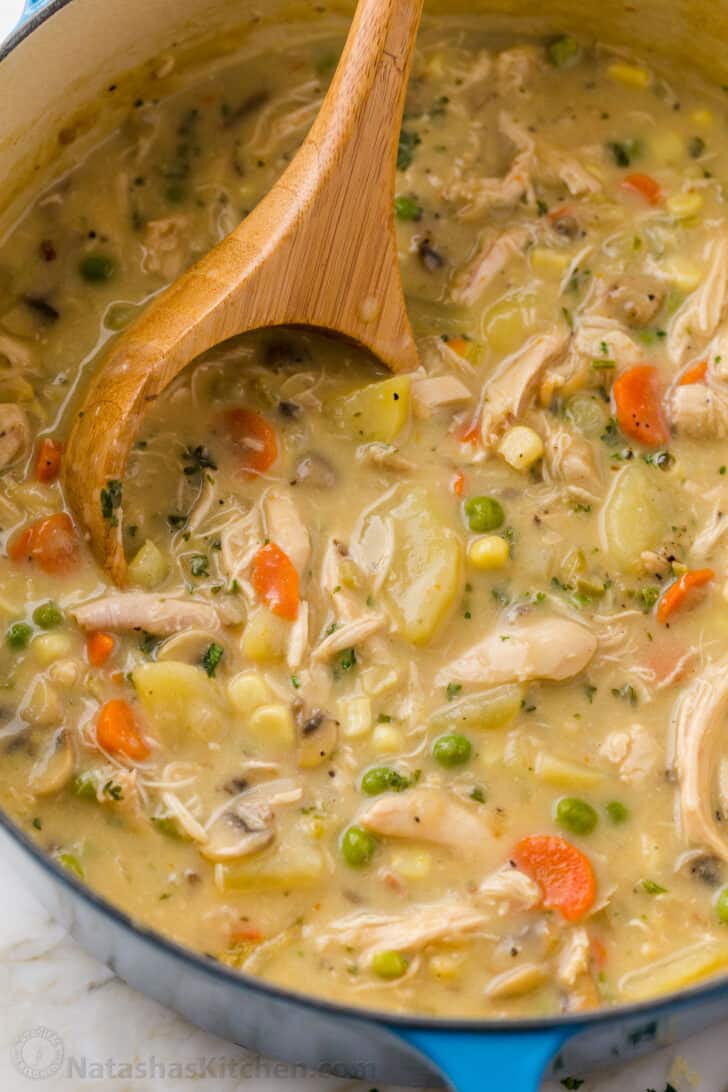 Soup in a pot with ladle