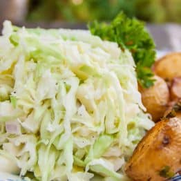 A plate with creamy apple coleslaw