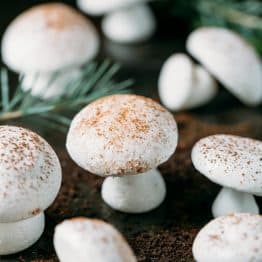Meringue Mushrooms Recipe - Completely adorable meringue Christmas cookies perfect for decorating holiday cakes like the yule log! (step-by-step photos)