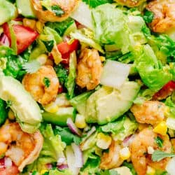 Avocado Shrimp Salad with cilantro dressing mixed together