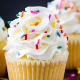 Vanilla cupcake with frosting and sprinkles